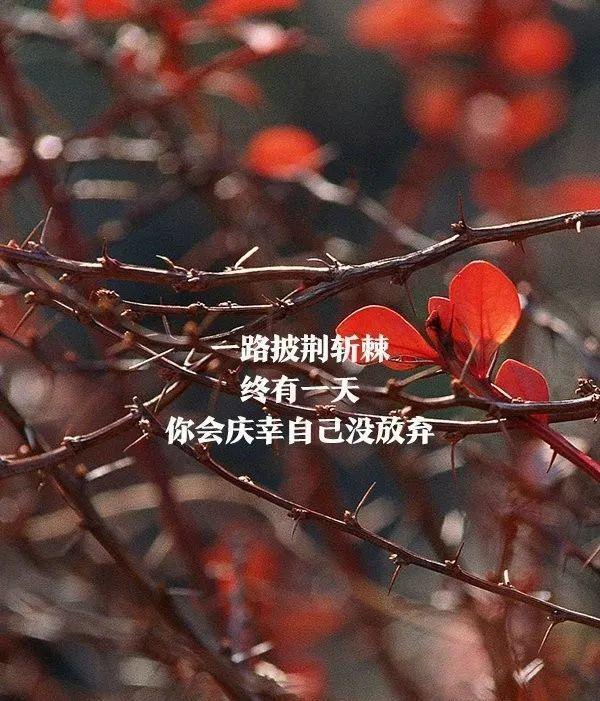 yabo鸭脖集团