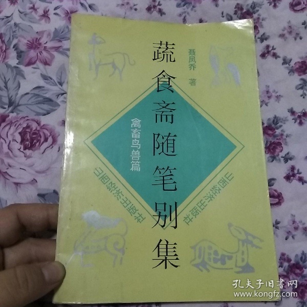 【yabo鸭脖集团】无限元宝金币手游公益服：盘货传奇中那些帅到爆炸的坐骑